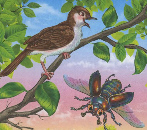 Соловей і Жук — Василь Сухомлинський