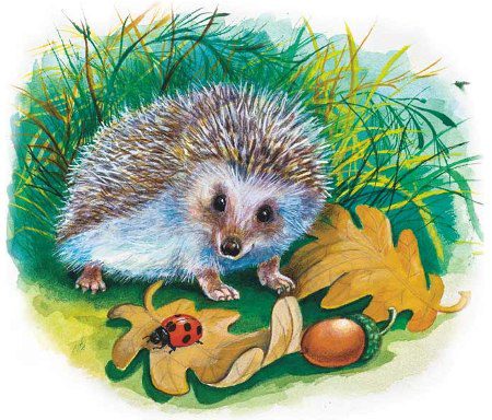 Пиріжок з ніжками