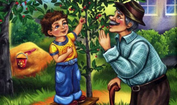 Внучка старої вишні — Василь Сухомлинський