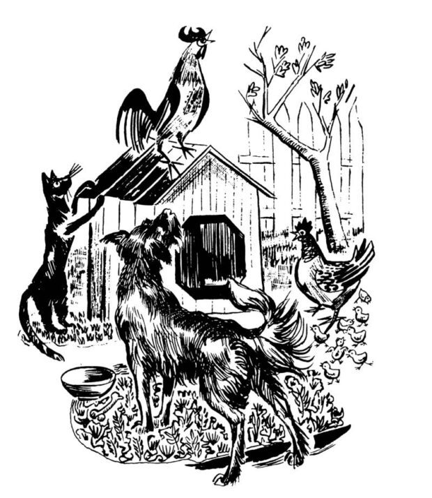 Дружній гурт — Діамара Ходимчук