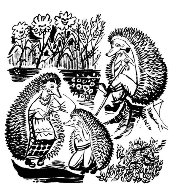 Їжачок — Діамара Ходимчук