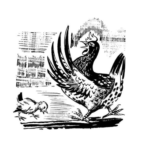 Неслухняне курча — Діамара Ходимчук