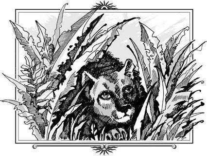 Кугуар і королівна - О.Генрі