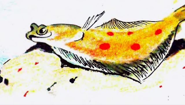 Чорноморці - Валерія Іваненко