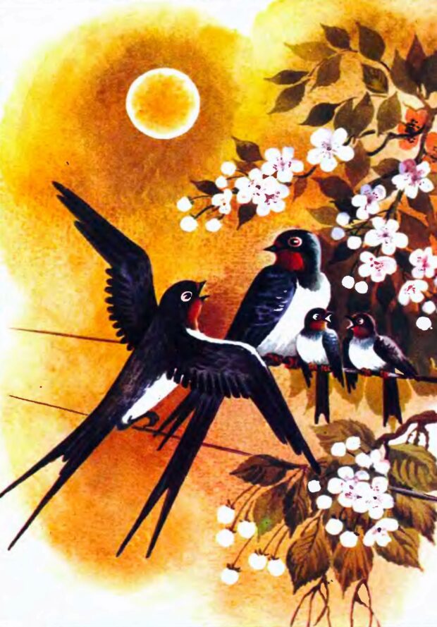 Крилаті майстри - казка Василя Мельника