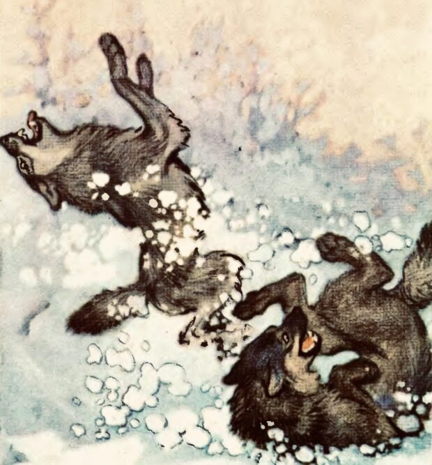 Вовки. Про чотириногих, рогатих і безрогих