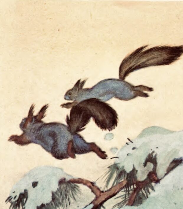 Білки та куниця. Про чотириногих, рогатих і безрогих