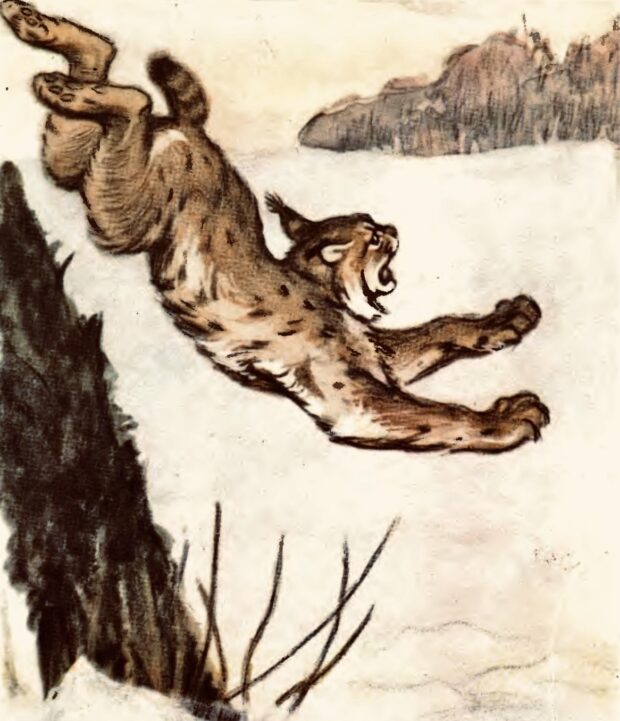 Дикий кіт. Про чотириногих, рогатих і безрогих