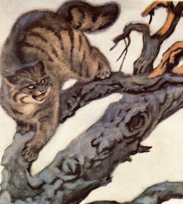 Дикий кіт. Про чотириногих, рогатих і безрогих