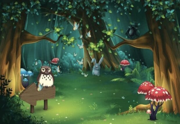 Магія лісу — Мар'яна Дацко