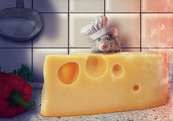 Сирна мрія - Анатолій Валевський